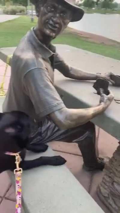 Looking for pets and pats from everyone ?