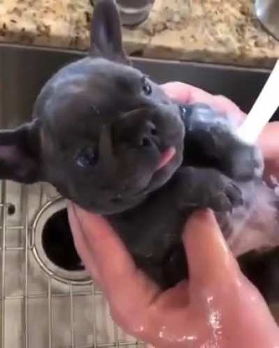 I like taking a bath! ?