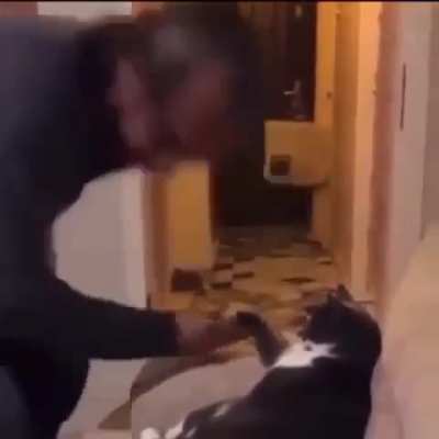 The Godcat blessing