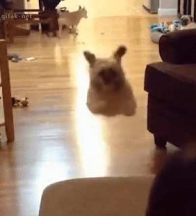to cuddle
