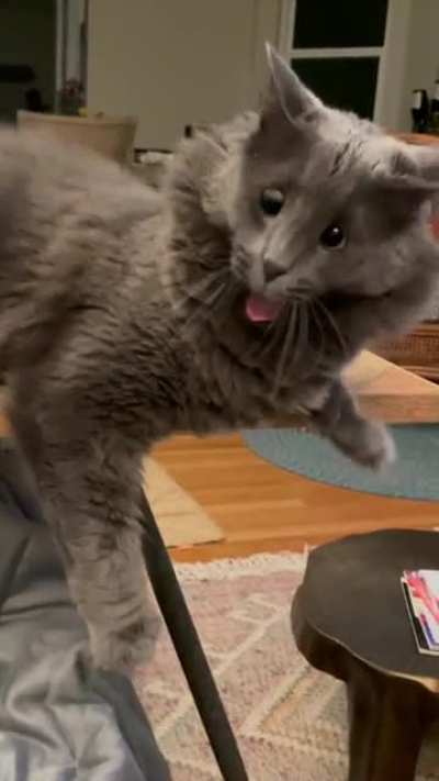 Apex derp mode