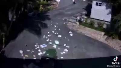 Trash day failure