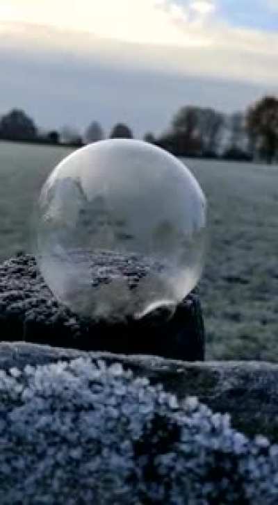 My Mom tried to freeze soap bubbles. Guess what happened??