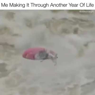 It’s The Journey