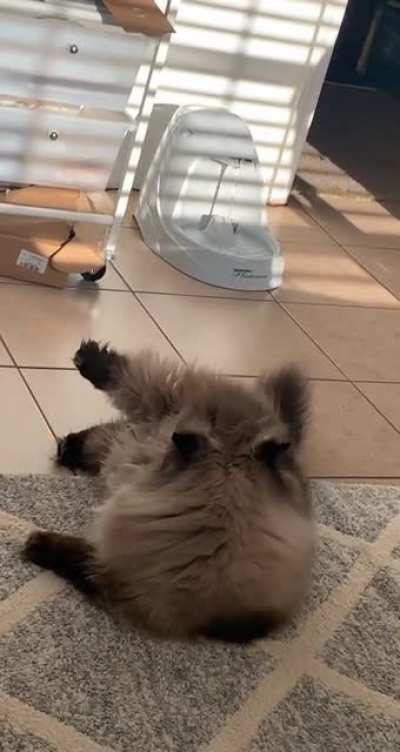 the way he whipped around ?