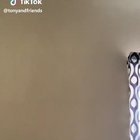 The Greatest Tik Tok of all Time