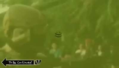 oh shit