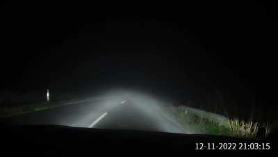 Ooh, DEER! ?