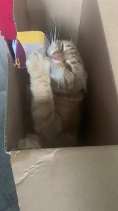Camera surprise!
