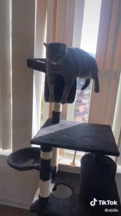 Defying gravity