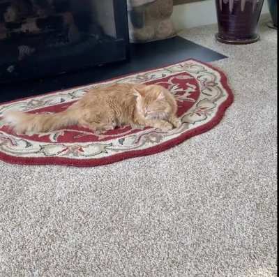 dude couldn’t handle the heat!