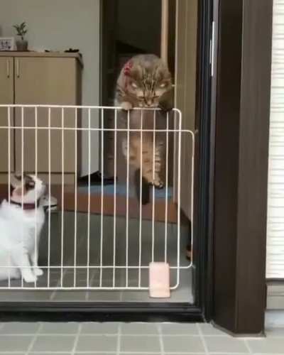 Mission impossible