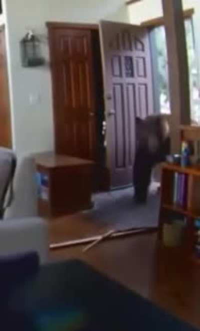 Neighbor visiting