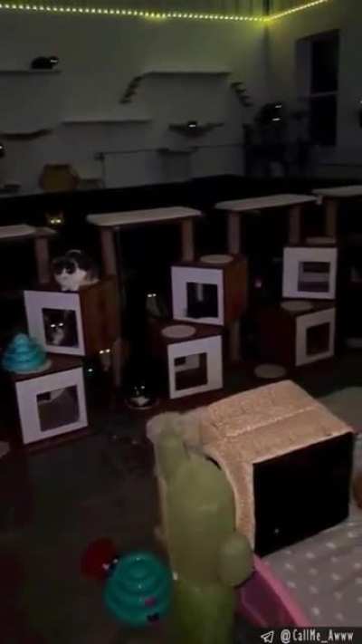 Imagine waking up at midnight to this!