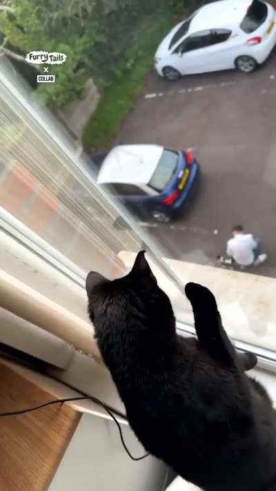 Disowned cat dad