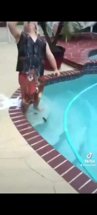 wtf is going on?