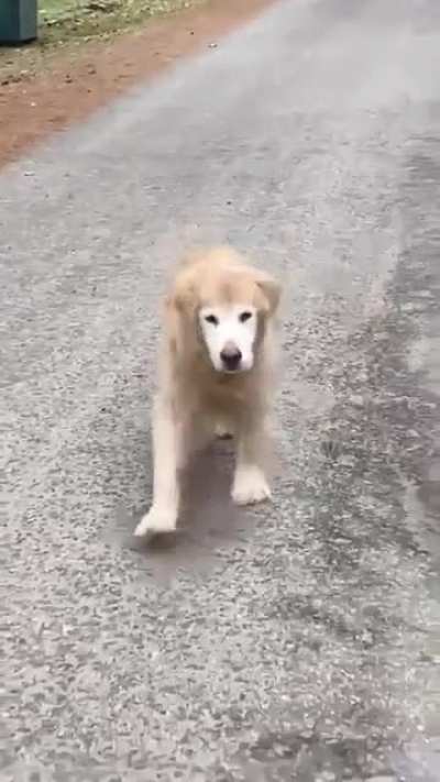 17-year-old Good Girl still got pep in her step