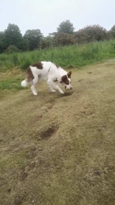 "Just take me to a good hill, mom. I'll do the rest."