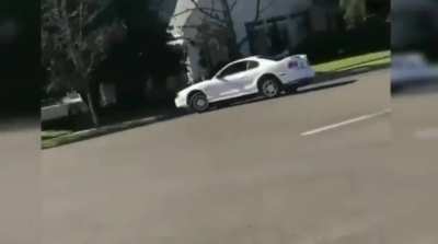 BEHOLD. The Majestic Mustang In It's Natural Environment. ?