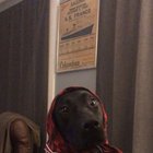 When will my husband return from war?