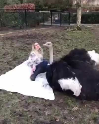 She will catch him... Oh wait...