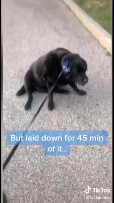 Hes a lil chonky but its ok ❤️❤️?☺️