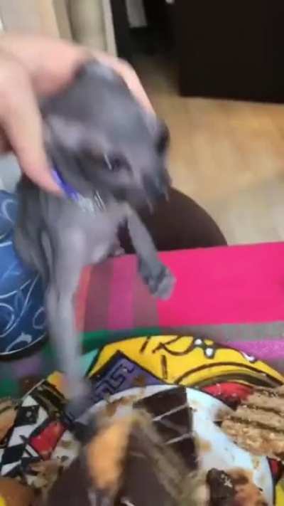 Give me the cakeeeee