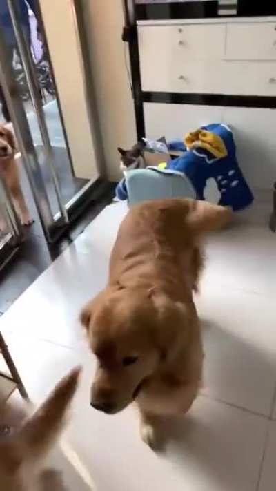 Help each other to get through the door