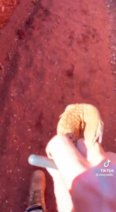 Only in Australia