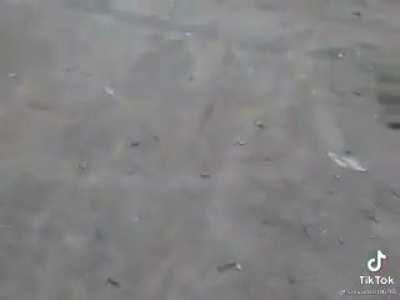 To safely test a firearm with bouncing rounds.