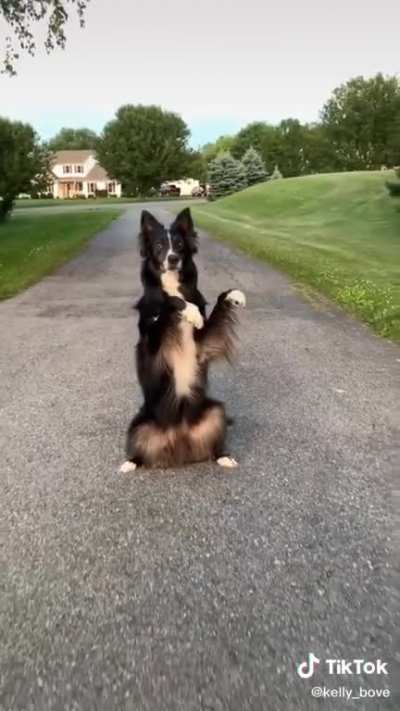 His hops to the beat ?