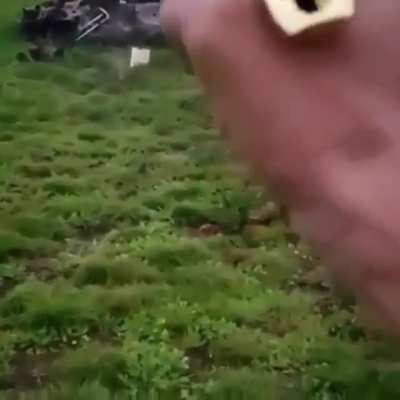 A Desert Eagle's "Ring of Fire"