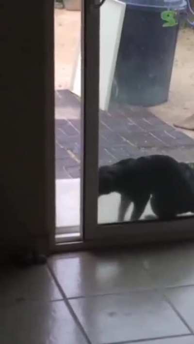 To get in the house