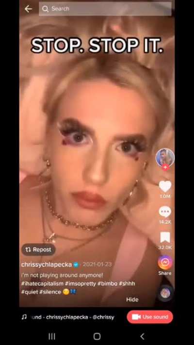 tictok feminism ?