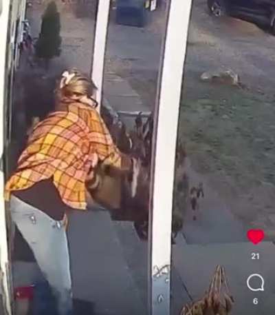 Mother of the year protects her daughter from raccoon