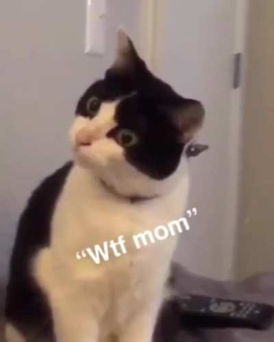 yeah mom, wtf