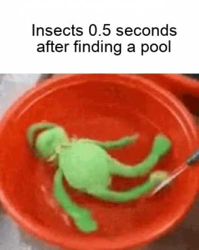 Maybe they just wanted a bath......