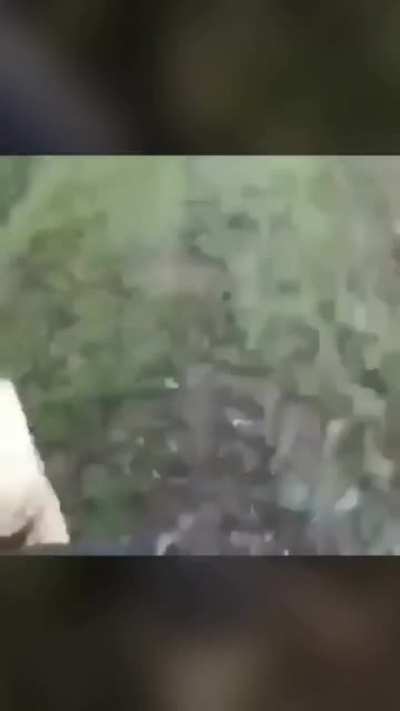 Florida Man Grabs An Alligator With One Hand And Throws It In A Lake, While Filming Himself...