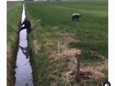all that effort for nothing