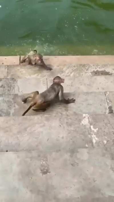 Wait for the jump!
