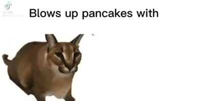 I want pancakes