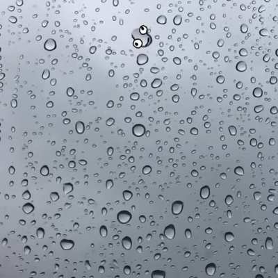 Raindrop Jaws (sound on) [OC]