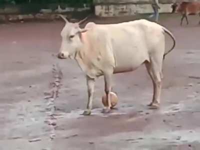Maybe maybe maybe