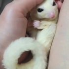 Too aww for me