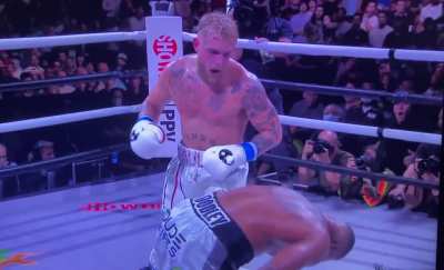 Tiktoker/YouTuber knocks out professional UGC fighter.