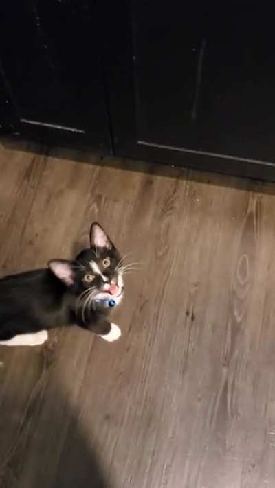 Love this little guy!