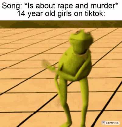 TikTokers be like: