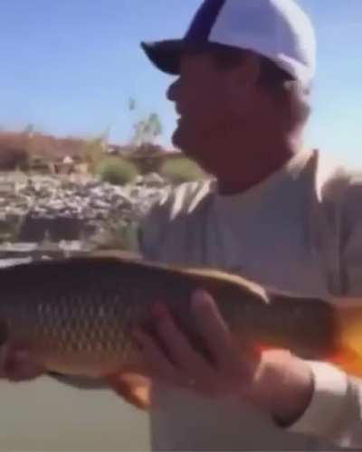 Holy carp!