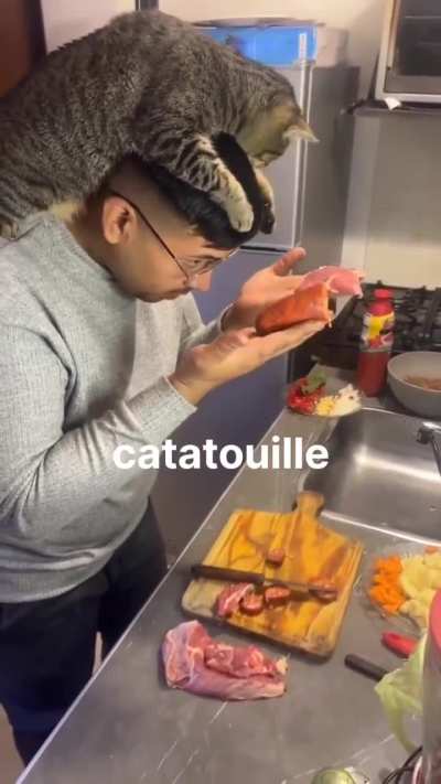Gotta make sure catatouille approves first ??