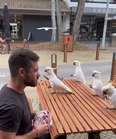 Lunch with bros
